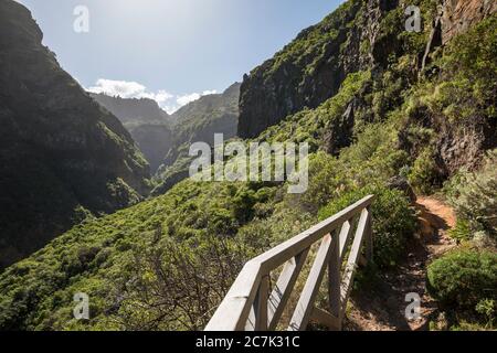 Sentier de randonnée dans le Barranco de Ruiz à San Juan de la Rambla, Tenerife, îles Canaries, Espagne Banque D'Images