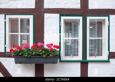 Fenêtre avec boîte à fleurs, maison à colombages, vieille ville, Lübeck-Travemünde, Schleswig-Holstein, Allemagne, Europe Banque D'Images