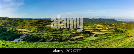 Vue sur les vignobles de Navarre, Espagne Banque D'Images