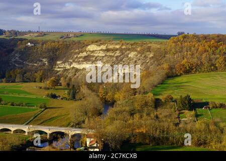 Le Muschelkalkfelsen dans la vallée de Saale près de Saaleck, en dessous de Rudelsburg, sur la route romane, Bad Kösen, Burgenlandkreis, Saxe-Anhalt, Allemagne Banque D'Images