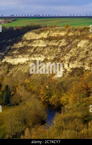 Le Muschelkalkfelsen dans la vallée de Saale près de Saaleck, en dessous de Rudelsburg, sur la route romane, Bad Kösen, Burgenlandkreis, Saxe-Anhalt, Allemagne Banque D'Images