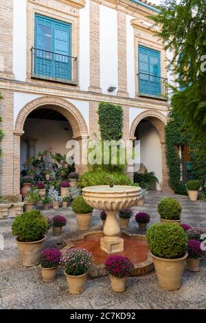 Le patio de la Cancela, la cour de la porte, était l'entrée du Torres Cabrera jusqu'à ce qu'il soit annexé au Palacio de Viana au XVIIIe siècle Banque D'Images