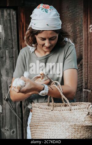 Une hôtesse féminine s'occupe des poulets jaunes nouvellement nés dans sa cour. Agriculture à domicile Banque D'Images