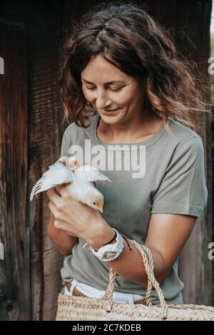 Une hôtesse féminine s'occupe des poulets jaunes nouvellement nés dans sa cour. Agriculture à domicile Banque D'Images