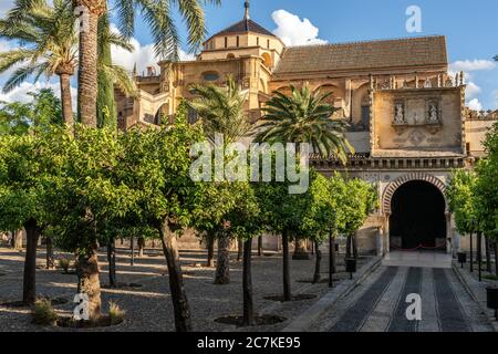 La Mosquée-cathédrale (Mezquita) de Cordoue depuis le patio de los Naranjos (cour des orangers) Banque D'Images