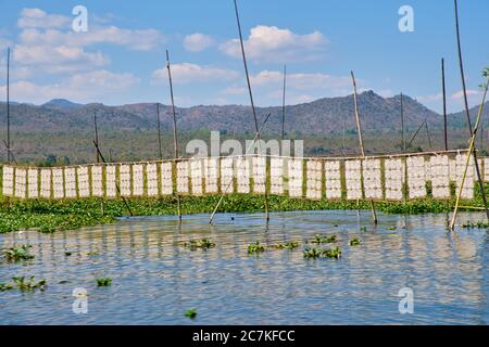 Crêpes de riz séchant au soleil au lac de l'inle, Myanmar Banque D'Images