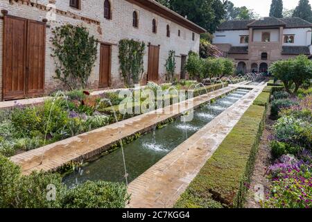 Vue sur le jardin aquatique du Generalife avec sa piscine, ses fontaines et ses plantes Banque D'Images