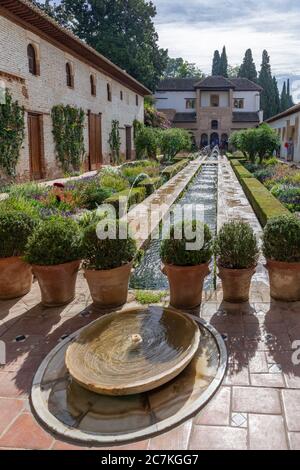 Vue sur le jardin aquatique du Generalife avec sa piscine, ses fontaines et ses plantes Banque D'Images