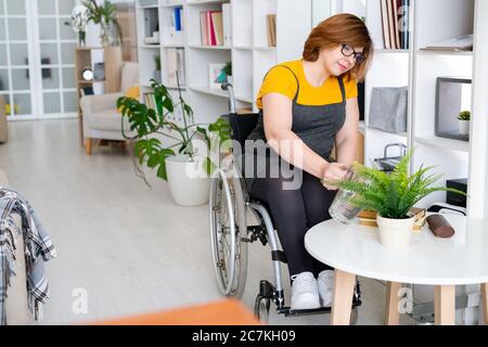 Jeune femme en fauteuil roulant arrosoir plante de fougères domestiques verte en pot blanc debout sur une petite table ronde près d'une étagère Banque D'Images