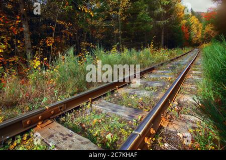 Les voies ferrées traversent la forêt montagneuse d'automne. Temps ensoleillé Banque D'Images