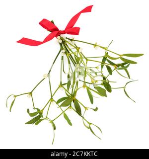 Bouquet de GUI attaché avec un noeud rouge sur fond blanc. Élément décoratif pour le solstice d'hiver et les fêtes de Noël. Banque D'Images