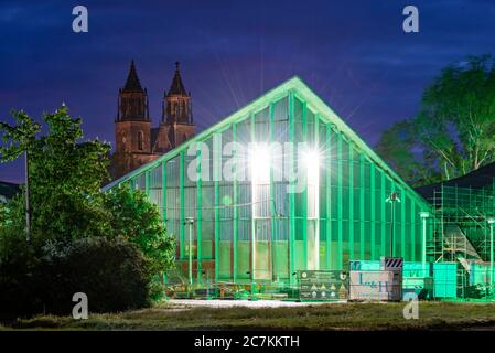 Allemagne, Saxe-Anhalt, Magdebourg, Hyparschale, chantier, cathédrale. Banque D'Images