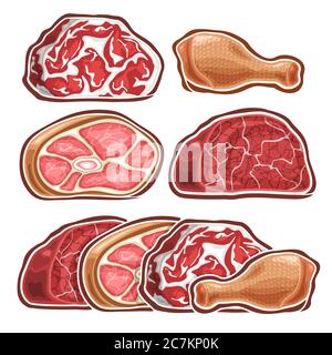 Ensemble vectoriel de différentes viandes crues, lot de 5 illustrations découpées de morceaux de viande assortis sur fond blanc. Illustration de Vecteur