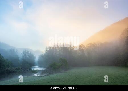 Hardegg, rivière Thaya le matin, brume, soleil passant, vue sur la ruine du château de Neuhäusl, Parc national de la rivière Thaya Thayatal - Podyji, à Weinviertel, Niederösterreich / Basse-Autriche, Autriche Banque D'Images