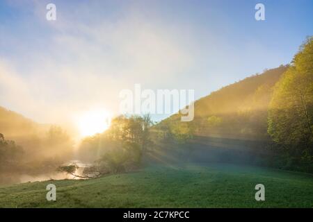 Hardegg, rivière Thaya le matin, brume, soleil passant, vue sur la ruine du château de Neuhäusl, Parc national de la rivière Thaya Thayatal - Podyji, à Weinviertel, Niederösterreich / Basse-Autriche, Autriche Banque D'Images