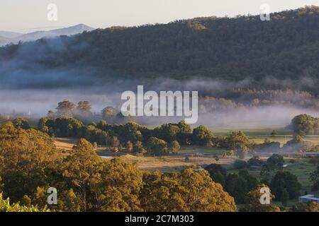 Une vallée à faible brouillard parmi les arbres près de Macksville dans le centre-est de la Nouvelle-Galles du Sud, en Australie. Banque D'Images