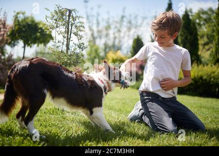 Joyeux garçon de enfant jouant avec son chien tirant corde de coton de chien jouet. Banque D'Images