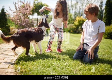 Joyeux garçon et fille jouant avec son chien tirant corde de coton doggy jouet. Banque D'Images