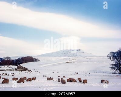 C'est la montagne de Pen y-Ghent, à la tête de la vallée de Ribblesdale et du village de Horton à Ribblesdale, un des célèbres Yorkshire Dales trois sommets de Penyghent, Ingleborough et Whernside pendant l'hiver 1980 Banque D'Images