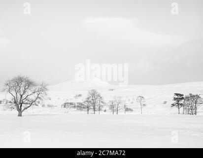 C'est la montagne de Pen y-Ghent, à la tête de la vallée de Ribblesdale et du village de Horton à Ribblesdale, un des célèbres Yorkshire Dales trois sommets de Penyghent, Ingleborough et Whernside pendant l'hiver 1980 Banque D'Images