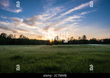 Rayons subtils du soleil couchant contre une étroite bande de forêt et un beau ciel nuageux. Banque D'Images