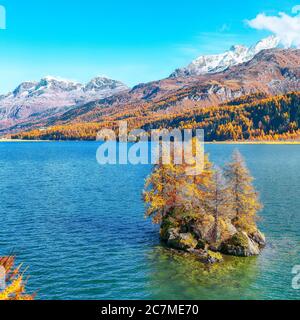 Vues pittoresques sur le lac de Sils (Silsersee) avec de petites îles. Scène automnale colorée des Alpes suisses. Lieu: Maloya, région de l'Engadine, Grisons Banque D'Images