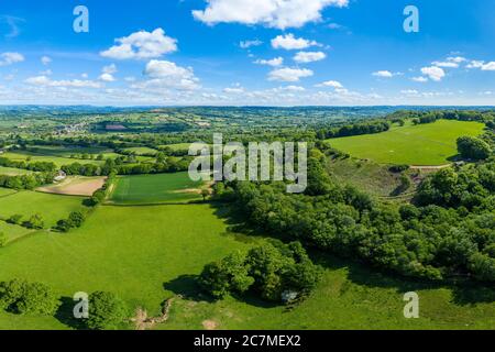 Blackdown Hills, régions d'une beauté naturelle exceptionnelle près de Craddock, Devon, Angleterre, Royaume-Uni, Europe Banque D'Images