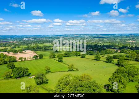 Blackdown Hills, régions d'une beauté naturelle exceptionnelle près de Craddock, Devon, Angleterre, Royaume-Uni, Europe Banque D'Images