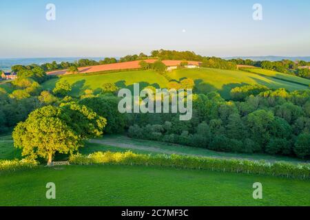 Printemps à Devon près d'Exeter, Devon, Angleterre, Royaume-Uni, Europe Banque D'Images