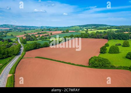 Printemps à Devon près d'Exeter, Devon, Angleterre, Royaume-Uni, Europe Banque D'Images