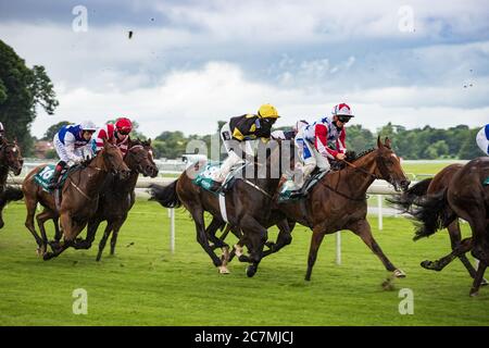 York, Royaume-Uni, 18 juillet 2020. Courses hippiques « derrière des portes fermées » pendant les enjeux de la coupe John Smith. Crédit : Ed Clews/Alay Live News. Banque D'Images
