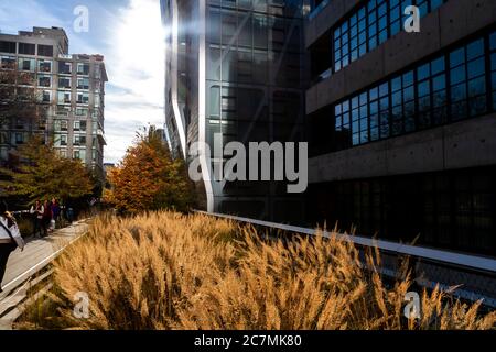 Vive le jour de novembre au High Line Elevated Park à New York, NY USA 2017. Banque D'Images