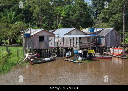 Trois maisons simples sur pilotis avec des jetées pour bateaux, sur les rives de l'Amazone près de Manaus, État d'Amazonas, Brésil Banque D'Images