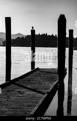 Lac Chatcolet, parc national de Heyburn, Idaho Banque D'Images