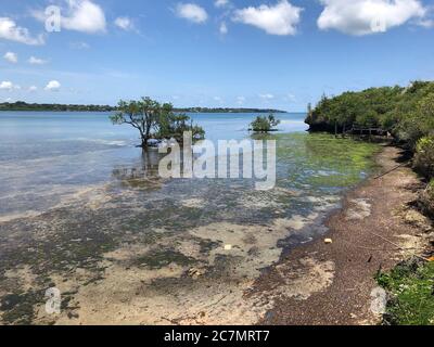 Paysage tropical de l'île de Wasini sur la belle côte du Kenya en Afrique Banque D'Images