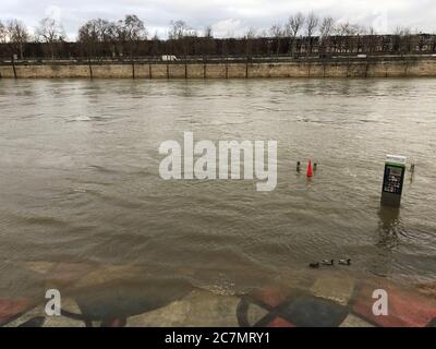 Inondation de la Seine à Paris en mars 2020 Banque D'Images