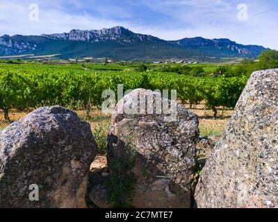 Dolmen de San Martin à Laguardia dans la Rioja Alavesa avec la Sierra de Cantabria en arrière-plan. Alava, pays basque, Espagne, Europe Banque D'Images