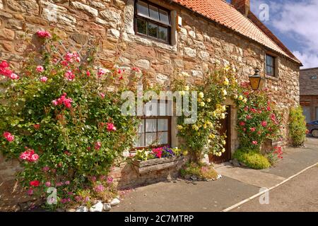 Cottage à l'île Sainte de Lindisfarne, Northumberland, Angleterre. Banque D'Images