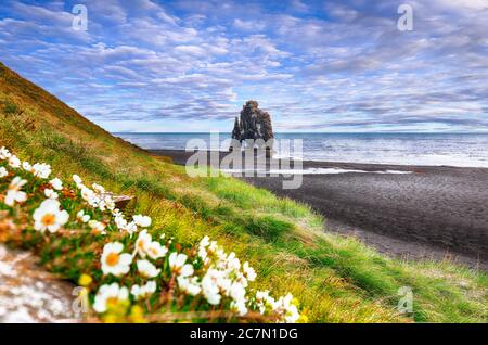 Vue sur le rocher de basalte unique de Hvitserkur en Islande. Lieu: Place Hvitserkur, péninsule de Vatnsnes, Islande, Europe. Banque D'Images