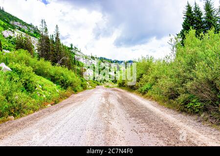 Albion Basin, Utah été avec route de terre en été dans les montagnes de Wasatch menant à des sentiers de randonnée et terrain de camping avec personne et ciel nuageux Banque D'Images