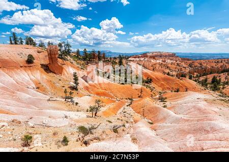 Vue aérienne des looodoos et des formations rocheuses orange au parc national de Bryce Canyon, sur le sentier Navajo Loop de l'Utah Queens Garden Banque D'Images