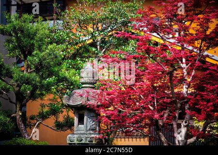 Kyoto, Japon quartier résidentiel au printemps avec petit temple sanctuaire et lanterne en pierre le long du canal de la rivière Takase en avril avec vert et rouge Banque D'Images