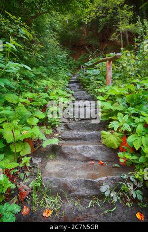 Escalier en pierre menant à un passage traversant la forêt. Le chemin de pierre avec une barrière en bois Banque D'Images