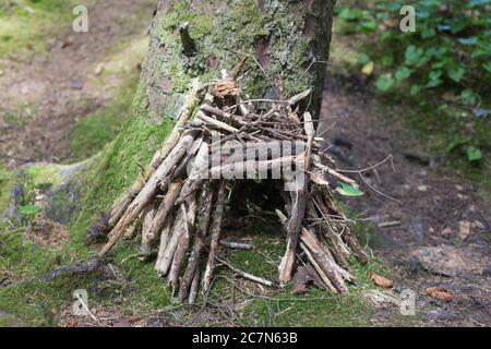 Une petite maison de fées à la base d'un arbre dans une forêt à Yachats, Oregon, Etats-Unis. Banque D'Images
