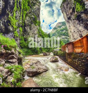 Rivière de montagne rapide à Bicaz Canyon/Chaile Bicazului. Scène impressionnante de la rivière de grandes falaises et rochers du comté de Neamt, Roumanie, Carpathian Mountains, Banque D'Images