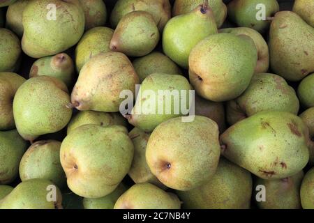 Poire 'Red comice', poires, cuisinières, poires à cuire, Pyrus communis Banque D'Images