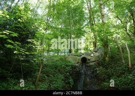 Ruisseau de montagne ou ruisseau dans une forêt de hêtres il est régulé par de grands pipelines métalliques dirigeant la chute d'eau le long du mur de roche. La lumière du soleil passe. Banque D'Images