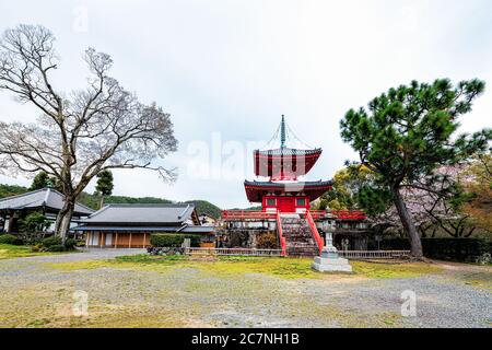 Kyoto, Japon - 12 avril 2019 : fleurs de cerisier sakura arbres fleurs dans le parc de jardin du bâtiment de pagode de la tour Shingyo-Hoto dans le temple de Daikakuji Banque D'Images