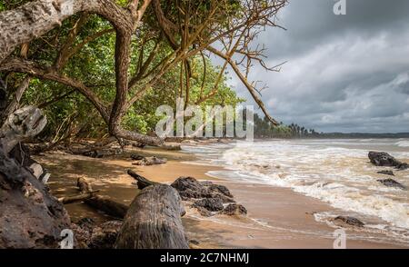 La côte d'or de l'Afrique avec des pierres noires et de couleur jaune mer et une plage dans Axim Ghana Afrique de l'Ouest Banque D'Images