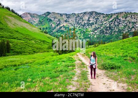 Albion Basin, Utah été avec une femme debout sur le sentier de la route de terre paysage regardant les fleurs sauvages vue sur le sentier des prairies dans les montagnes de Wasatch Banque D'Images